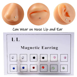 Non-Pierced Earrings