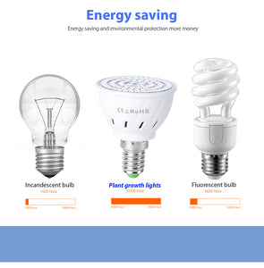 Led Bulb Hydroponic grow 220V - Becmella