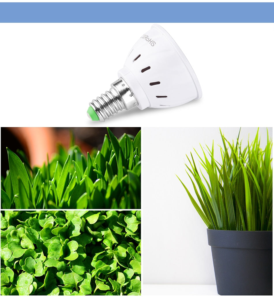 Led Bulb Hydroponic grow 220V - Becmella