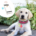 Load image into Gallery viewer, Pet Tracker - Becmella
