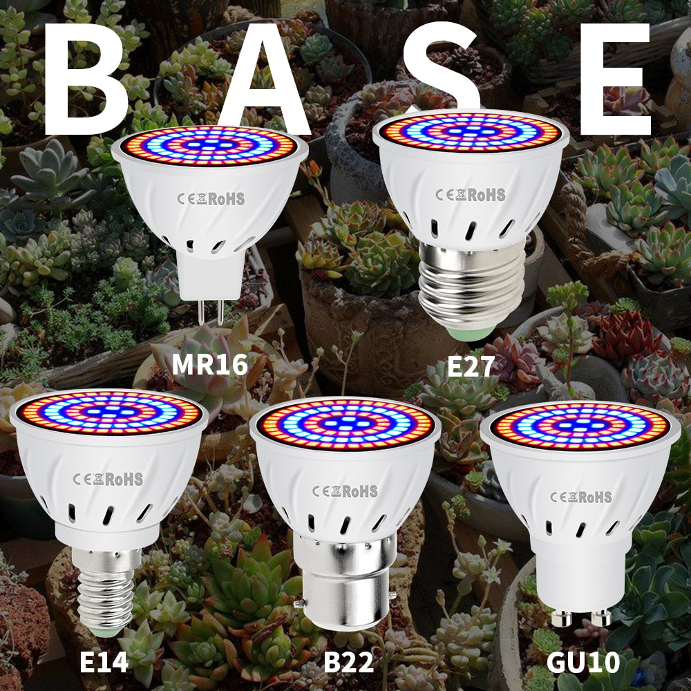 Led Bulb Hydroponic grow 220V - Becmella