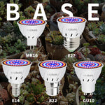 Load image into Gallery viewer, Led Bulb Hydroponic grow 220V - Becmella
