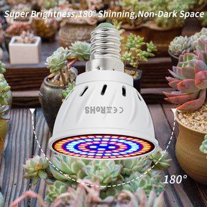 Led Bulb Hydroponic grow 220V - Becmella