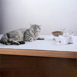 Load image into Gallery viewer, Pet Inclined Bowl - Becmella
