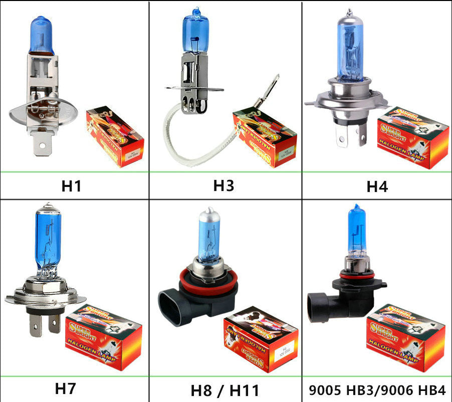 Auto Halogen Lamp - Becmella