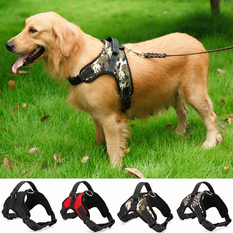 Dog Collar Harness - Becmella