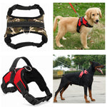 Load image into Gallery viewer, Dog Collar Harness - Becmella
