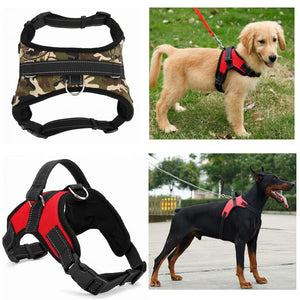 Dog Collar Harness - Becmella