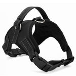 Load image into Gallery viewer, Dog Collar Harness - Becmella
