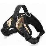 Load image into Gallery viewer, Dog Collar Harness - Becmella
