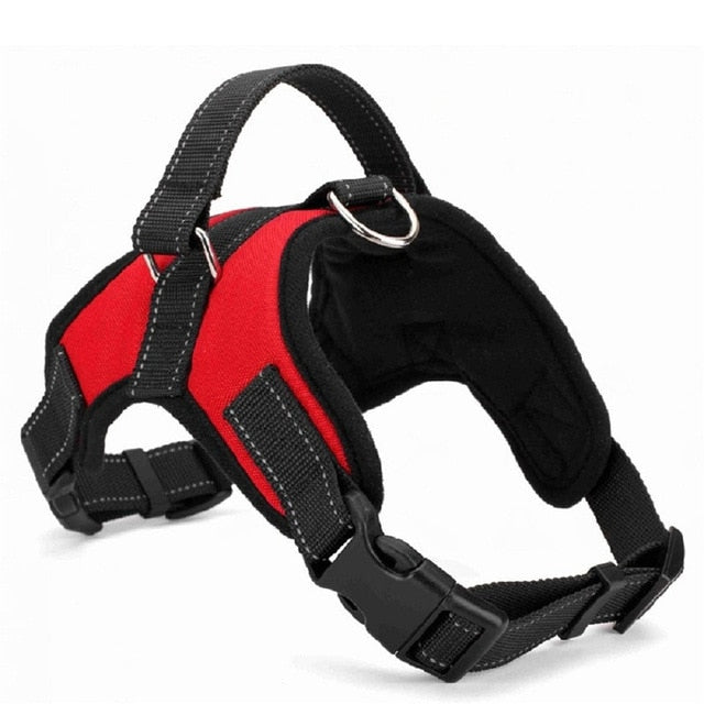 Dog Collar Harness - Becmella