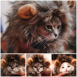 Load image into Gallery viewer, Pet Costume - Becmella
