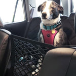 Load image into Gallery viewer, Pet travel safety net - Becmella
